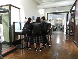 IMG_1207