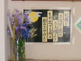 DSCN5337