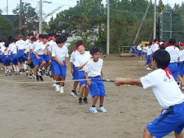 DSCN5366