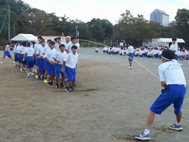 DSCN5367