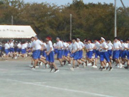 DSCN5373