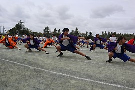 IMG_6229