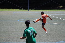 IMG_3470